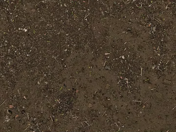 Mud texture (ID:ffach171574)