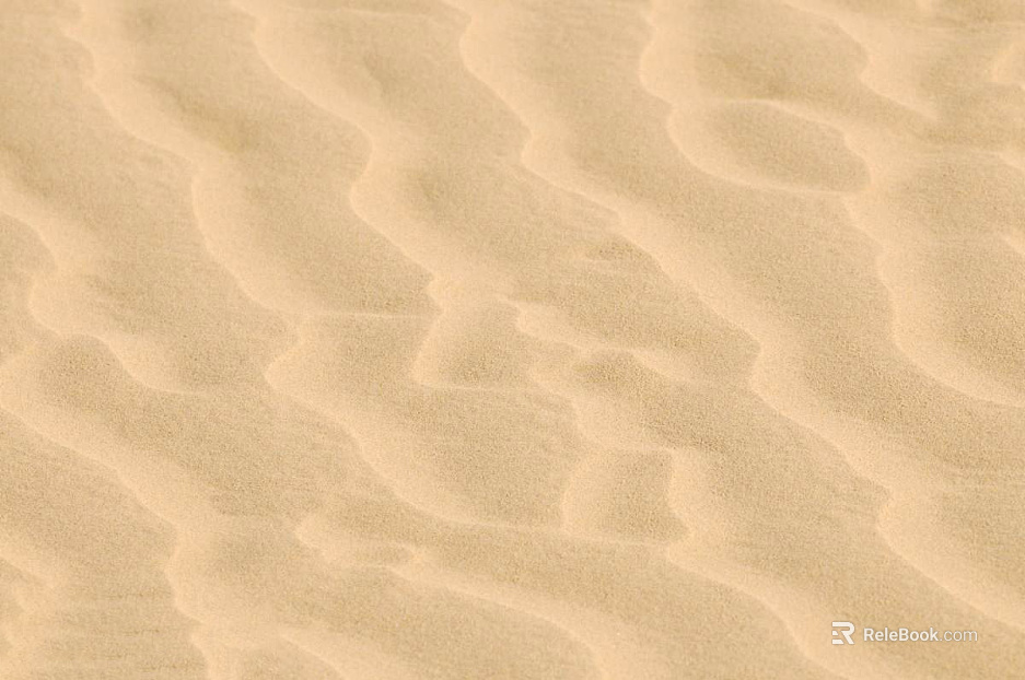 Beach texture