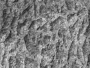 Black and White Bump texture (ID:ffaag86782)