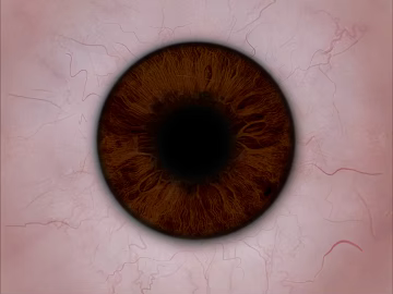 Five senses texture (ID:ffabg04378)