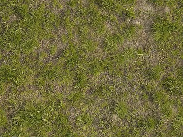 Turf texture (ID:ffabg96189)
