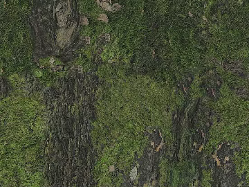 moss texture (ID:ffajg37124)