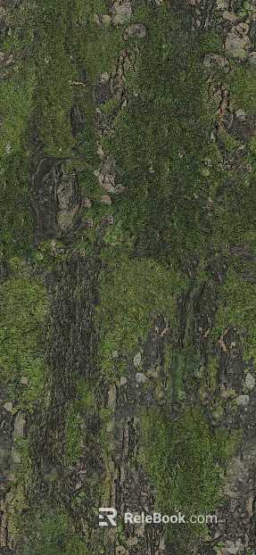 moss texture