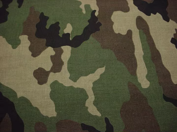 Camouflage texture (ID:ffaeg72622)