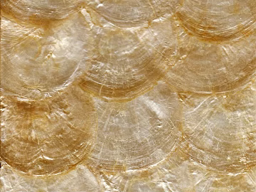 fish scale texture (ID:ffajg36936)