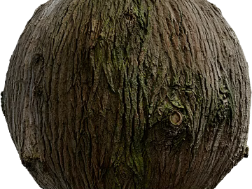 Bark PBR 3d model