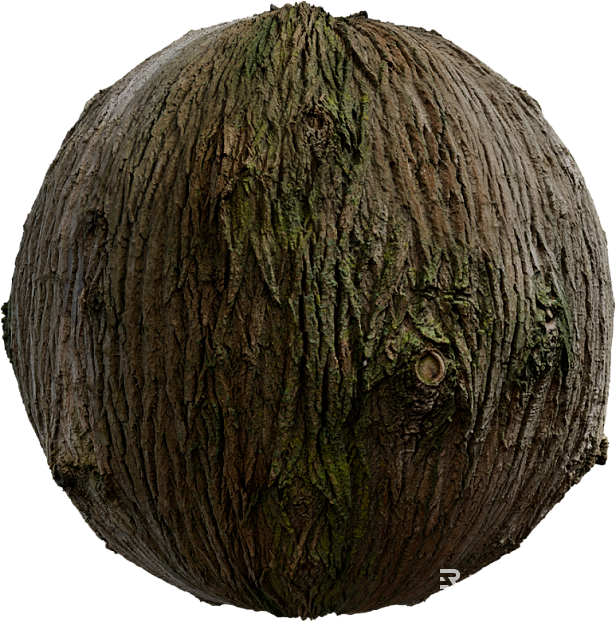 Bark PBR texture
