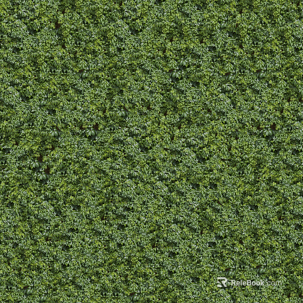 Plants texture