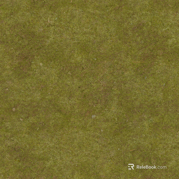 New Chinese turf texture