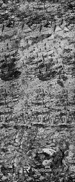 Black and White Bump texture