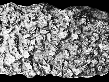 Grey white rock wall decoration texture (ID:ffaeh848832)