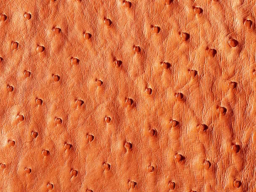 fine grain leather texture (ID:ffagg74342)