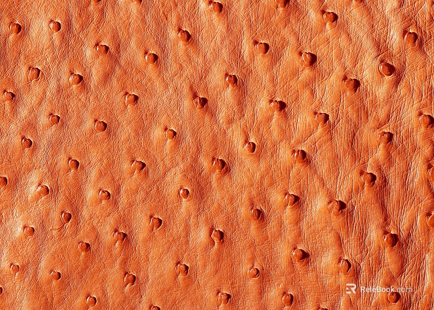 fine grain leather texture