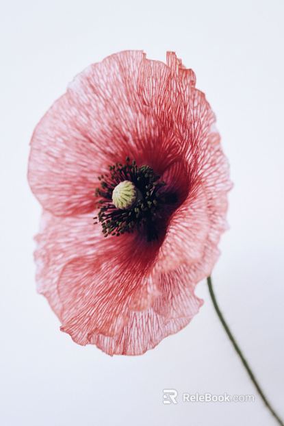 Plant painting texture