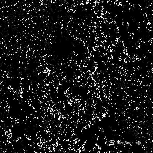 Highlight Mask texture