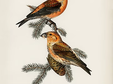 Animal painting texture (ID:ffaff1334)