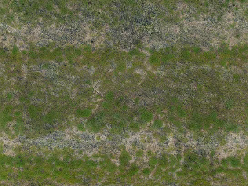 Turf texture (ID:ffach182735)