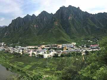 Wild Scenery texture (ID:ffacg46863)