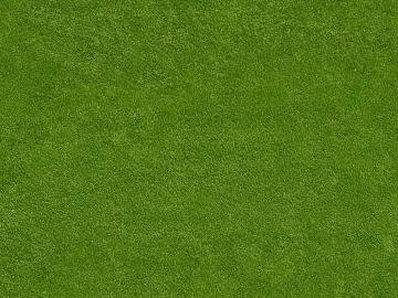 Turf 3d model