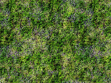 Turf texture (ID:ffaeg17277)