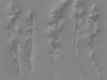 Black and White Bump texture (ID:ffajg05144)