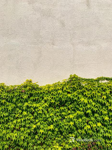 Plant wall texture