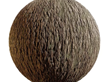 Bark PBR texture (ID:ffach147024)