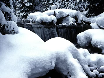 Wild Scenery texture (ID:ffaeg63314)