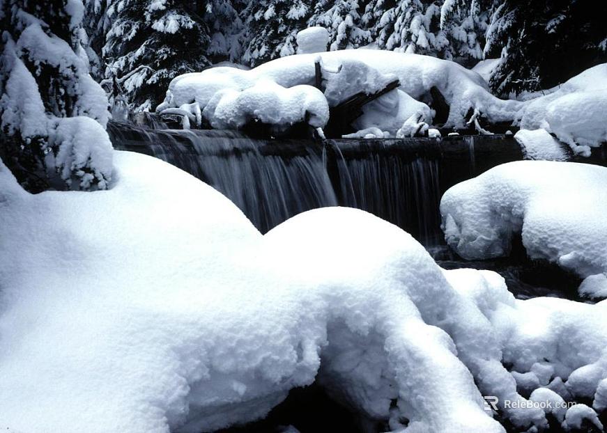 Wild Scenery texture