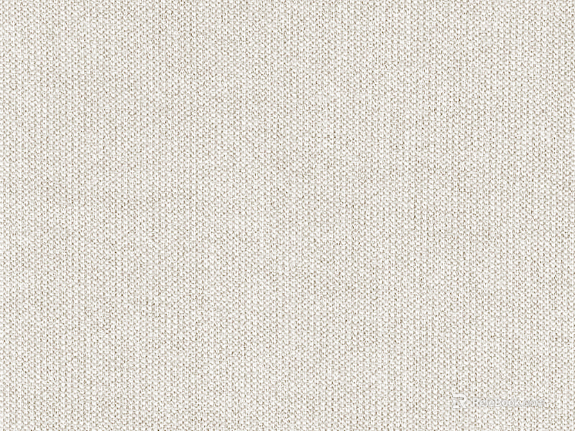 plain cloth texture