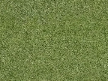 Turf texture (ID:ffagf6750)