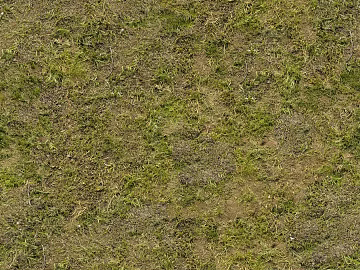 Turf ground texture (ID:ffaaf8290)