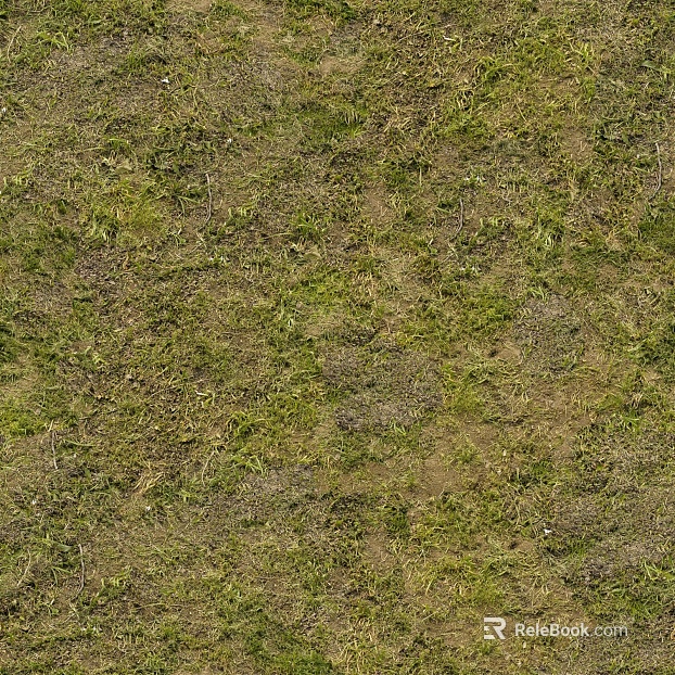 Turf ground texture