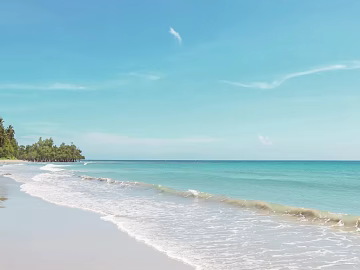 Wild Scenery texture (ID:ffajg70460)