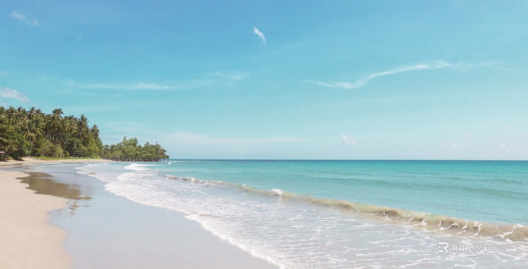 Wild Scenery texture