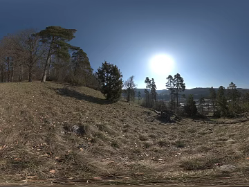 Outdoor Mountain Forest Day Sunny Day HDR texture (ID:ffabg95961)