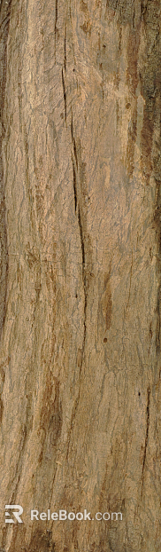 bark texture