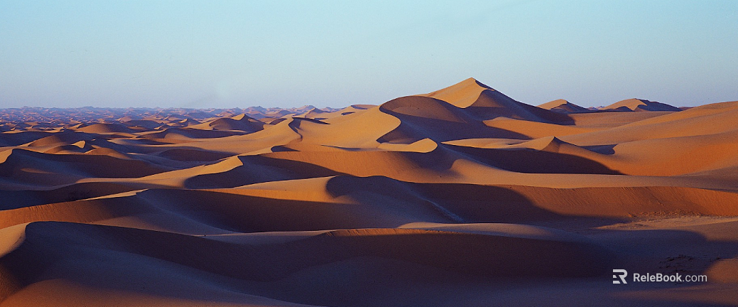 Wild Scenery texture