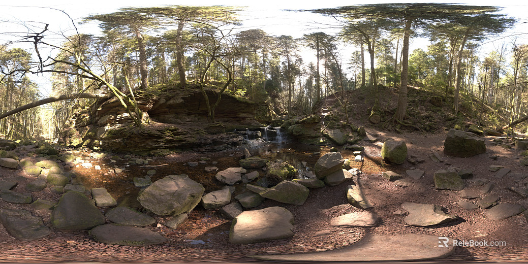 outdoor creek forest landscape hdr texture