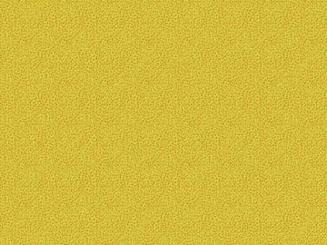 Pattern Cloth 3d model