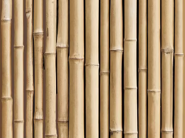 Bamboo texture (ID:ffacg17155)