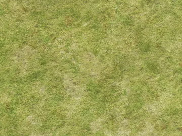 Turf texture (ID:ffagg64994)