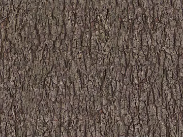 bark texture (ID:ffacg61346)