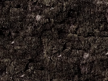 Stone texture (ID:ffaff4296)