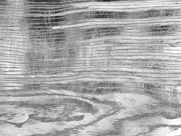 Black and White Bump texture (ID:ffagg66521)