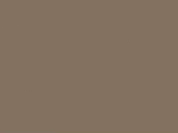 True stone paint texture (ID:ffhie242)