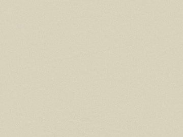 latex paint texture (ID:ffaag83528)