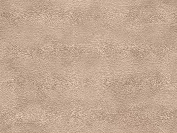 fine grain leather texture (ID:ffaeg50018)
