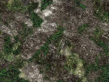 moss texture (ID:ffaff0069)