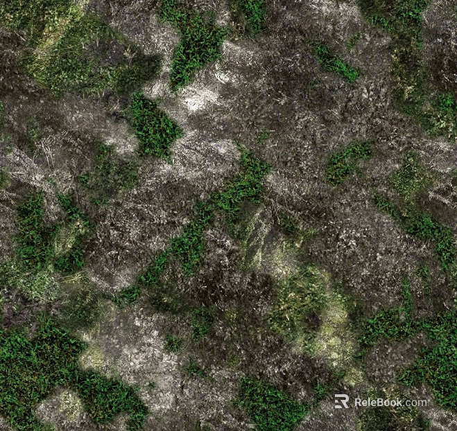 moss texture